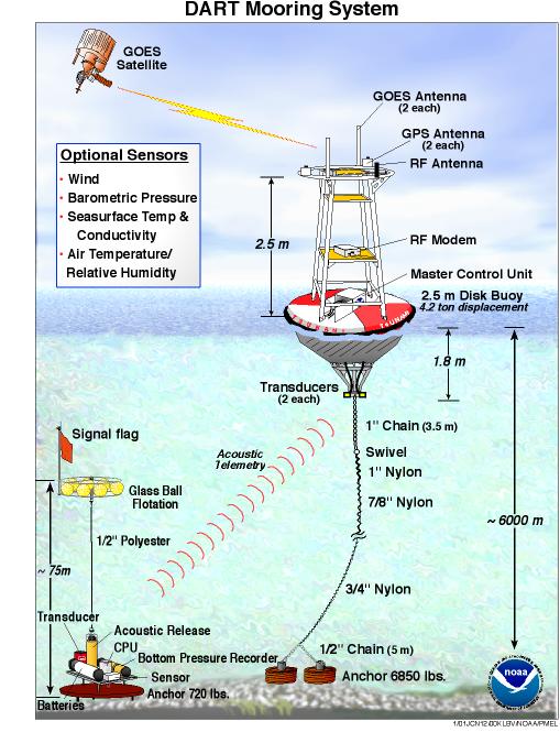 Mooring Buoy Installation Seattle