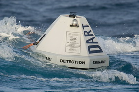 Photo of deployed DART buoy