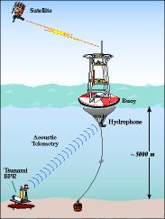 DART buoy