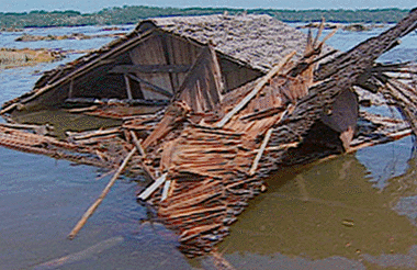 Debris floating in Sissano Lagoon